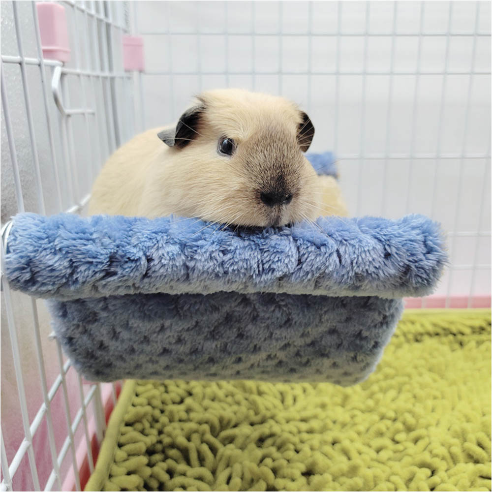 ペット用の居心地の良いハンモック,2層ハンモック,暖かい寝袋 - Fleece Sleep Bag のレビューと価格
